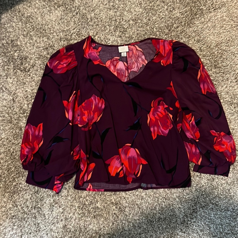 Blouse with globe sleeves